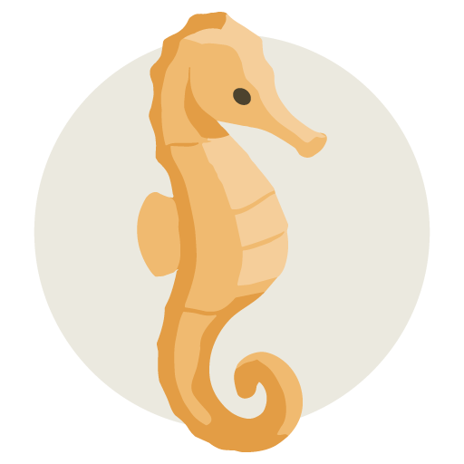happy-harbor-pediatric-dentistry-sea-horse